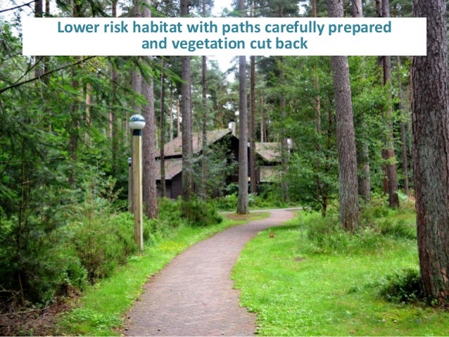 tick habitat