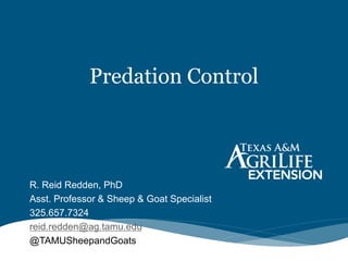 Predation Control
R. Reid Redden, PhD
Asst. Professor & Sheep & Goat Specialist
325.657.7324
reid.redden@ag.tamu.edu
@TAMUSheepandGoats
 