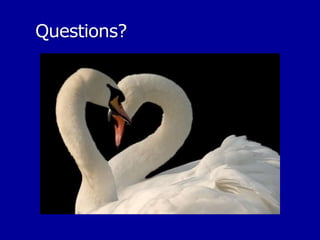 Effect of Multimedia Components on Learning 