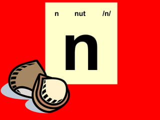 n   nut   /n/




    n
 