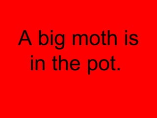 A big moth is
 in the pot.
 
