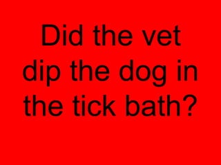 Did the vet
dip the dog in
the tick bath?
 