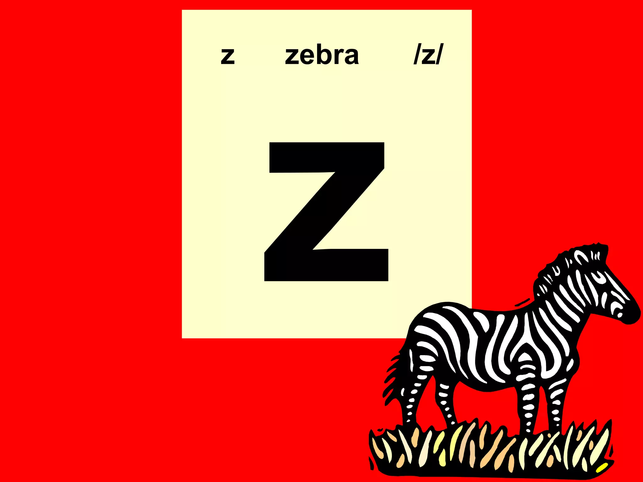 z   zebra   /z/




    z
 