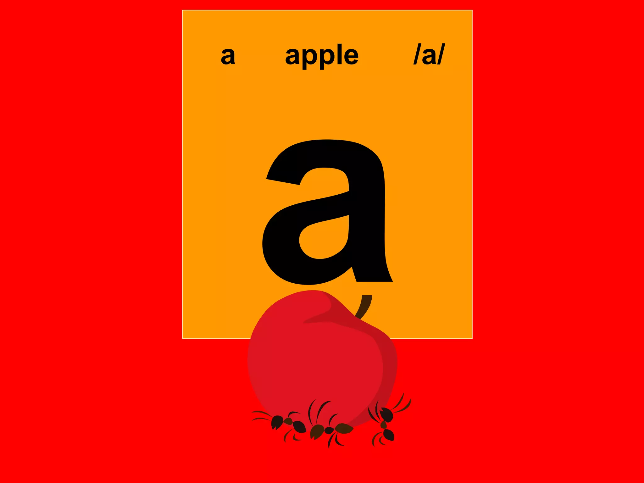 a   apple   /a/




    a
 