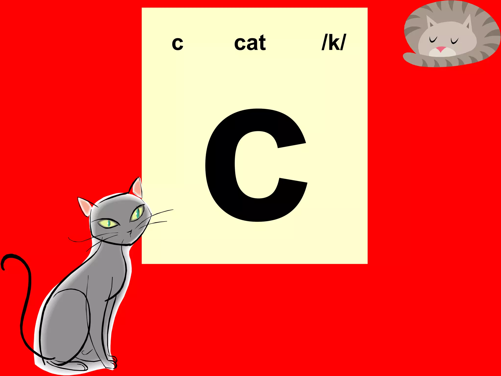 c   cat   /k/




    c
 