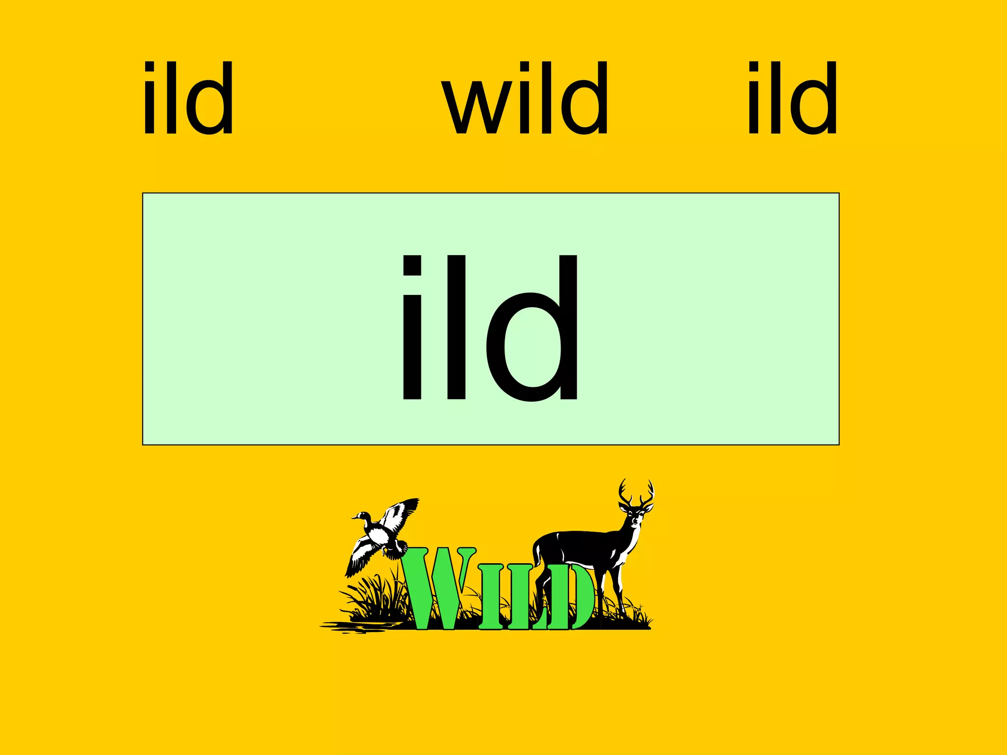 ild   wild   ild

      ild
 