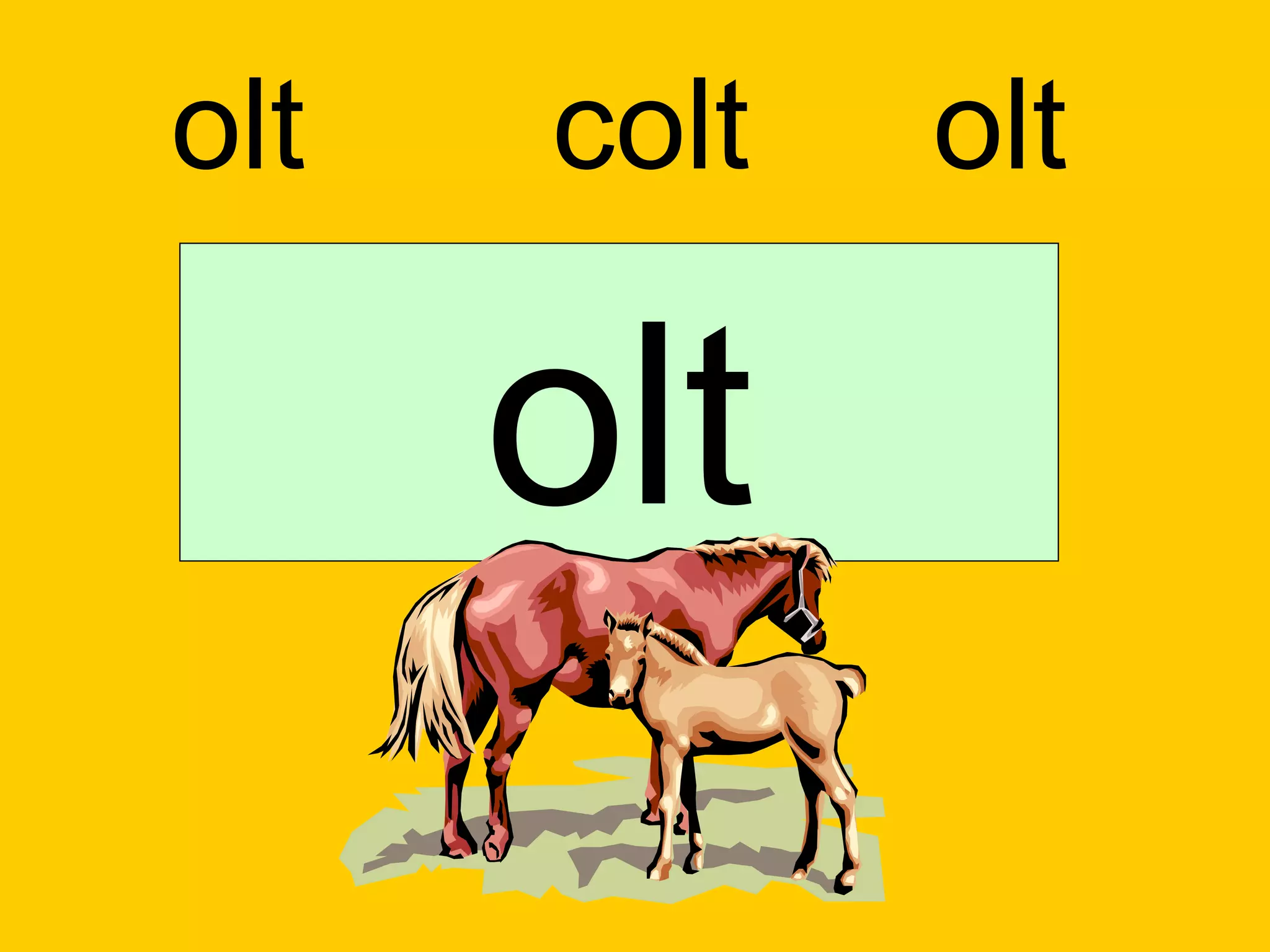 olt   colt   olt

      olt
 