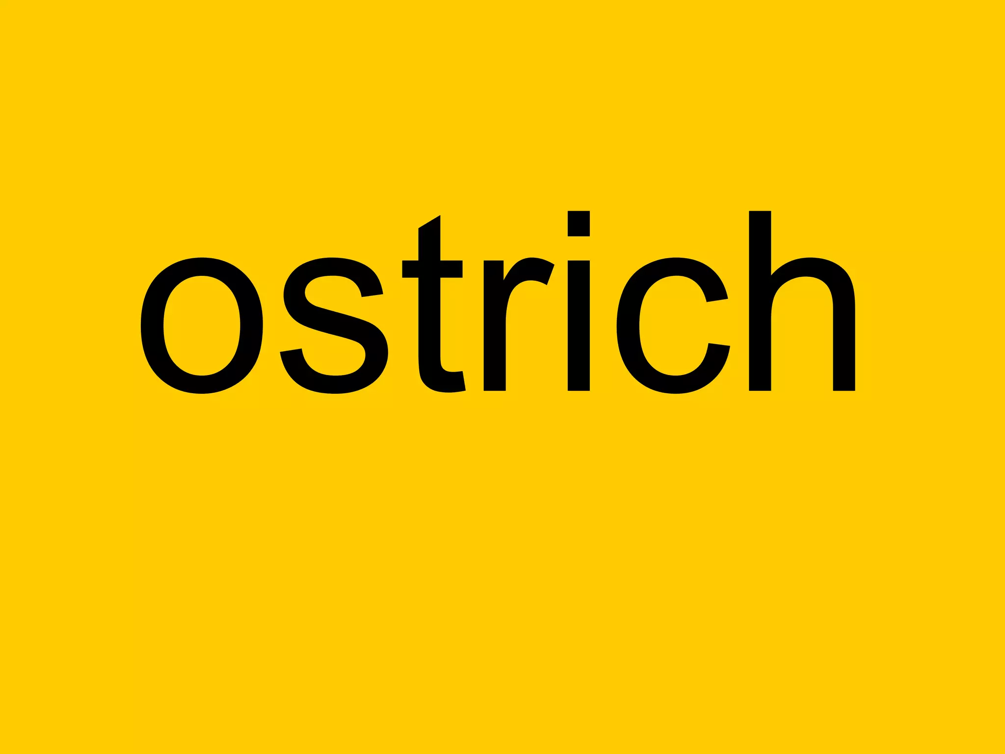 ostrich
 