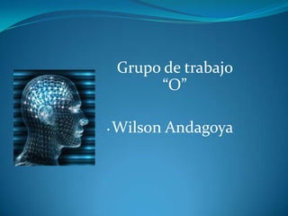 Grupo de trabajo
          “O”

•   Wilson Andagoya
 