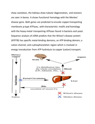 show cavitation, the kidneys show tubular degeneration, and erosions
are seen in bones. It shows functional homology with the Menkes'
disease gene. Both genes are predicted to encode copper-transporting
membrane p-type ATPases, with characteristic motifs and homology
with the heavy-metal transporting ATPases found in bacteria and yeast.
Sequence analysis of cDNA predicts that the Wilson's disease protein
(ATP7B) has specific metal-binding domains, an ATP-binding domain, a
cation channel, and a phosphorylation region which is involved in
energy transduction from ATP hydrolysis to copper (cation) transport.
 