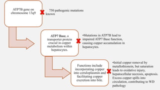 wilson disease current perspectives management | PPTX