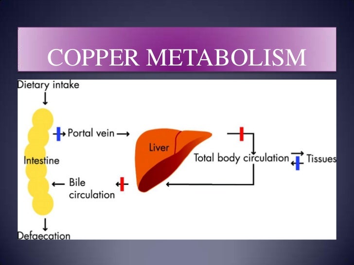 Wilson disease & general discussion on copper metabolism