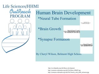Human Brain Development
 *Neural Tube Formation
                                                                           QuickTime™ and a
                                                                TIFF (Uncompressed) decompressor
                                                                   are needed to see this picture.




 *Brain Growth                           QuickTime™ and a
                                   TIFF (Uncompressed) decompressor
                                    are needed to see this picture.



 *Synapse Formation
                                                               TIFFQuickTime™ thisdecom
                                                                                  and a
                                                                     (Uncompressed) pictur
                                                                are needed to see




By Cheryl Wilson, Belmont High School



         http://en.wikipedia.org/wiki/Brain_development
         http://commons.wikimedia.org/wiki/File:Brain_090407.jpg
         http://commons.wikimedia.org/wiki/File:Neuron_with_mHtt_inclusion.jpg
 