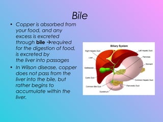 Bile
• Copper is absorbed from
your food, and any
excess is excreted
through bile required
for the digestion of food,
is excreted by
the liver into passages
• In Wilson disease, copper
does not pass from the
liver into the bile, but
rather begins to
accumulate within the
liver. 
 