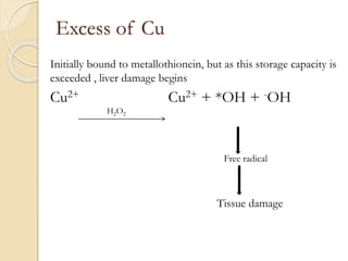 Excess of Cu
Initially bound to metallothionein, but as this storage capacity is
exceeded , liver damage begins
Cu2+ Cu2+ + *OH + -OH
H2O2
Free radical
Tissue damage
 