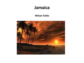 JamaicaWilson Tuttle 