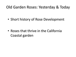 Old Garden Roses: Yesterday & Today

• Short history of Rose Development


• Roses that thrive in the California
  Coastal garden
 
