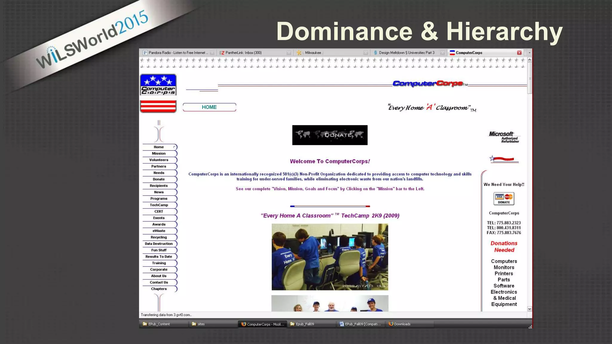 Dominance & Hierarchy
 