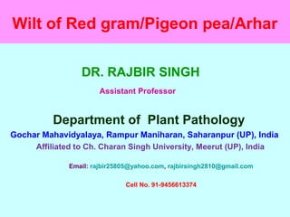 Wilt of Red gram/Pigeon pea/Arhar
DR. RAJBIR SINGH
Assistant Professor
Department of Plant Pathology
Gochar Mahavidyalaya, Rampur Maniharan, Saharanpur (UP), India
Affiliated to Ch. Charan Singh University, Meerut (UP), India
Email: rajbir25805@yahoo.com, rajbirsingh2810@gmail.com
Cell No. 91-9456613374
 