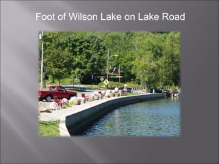 Foot of Wilson Lake on Lake Road 
