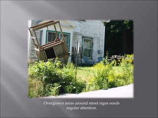 Overgrown areas around street signs needs regular attention. 