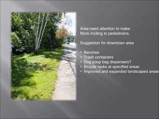 Area need attention to make More inviting to pedestrians. Suggestion for downtown area Benches Trash containers Dog poop bag dispensers? Bicycle racks at specified areas Improved and expanded landscaped areas 