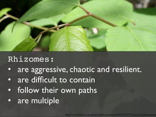 Rhizomes:
•  are aggressive, chaotic and resilient. 	

•  are difﬁcult to contain	

•  follow their own paths	

•  are multiple	

	

 http://www.flickr.com/photos/usfwsnortheast/5951029777/sizes/l/in/photostream
 