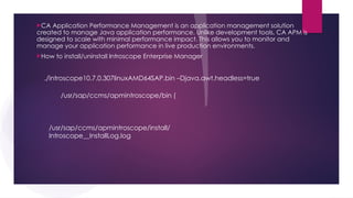 Apm Introscope WILY INTERSCOPE installation explanation steps | PPTX