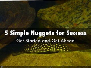 Photo by Pardee Ave. - Creative Commons Attribution License https://www.flickr.com/photos/11721658@N00 Created with Haiku Deck 
 