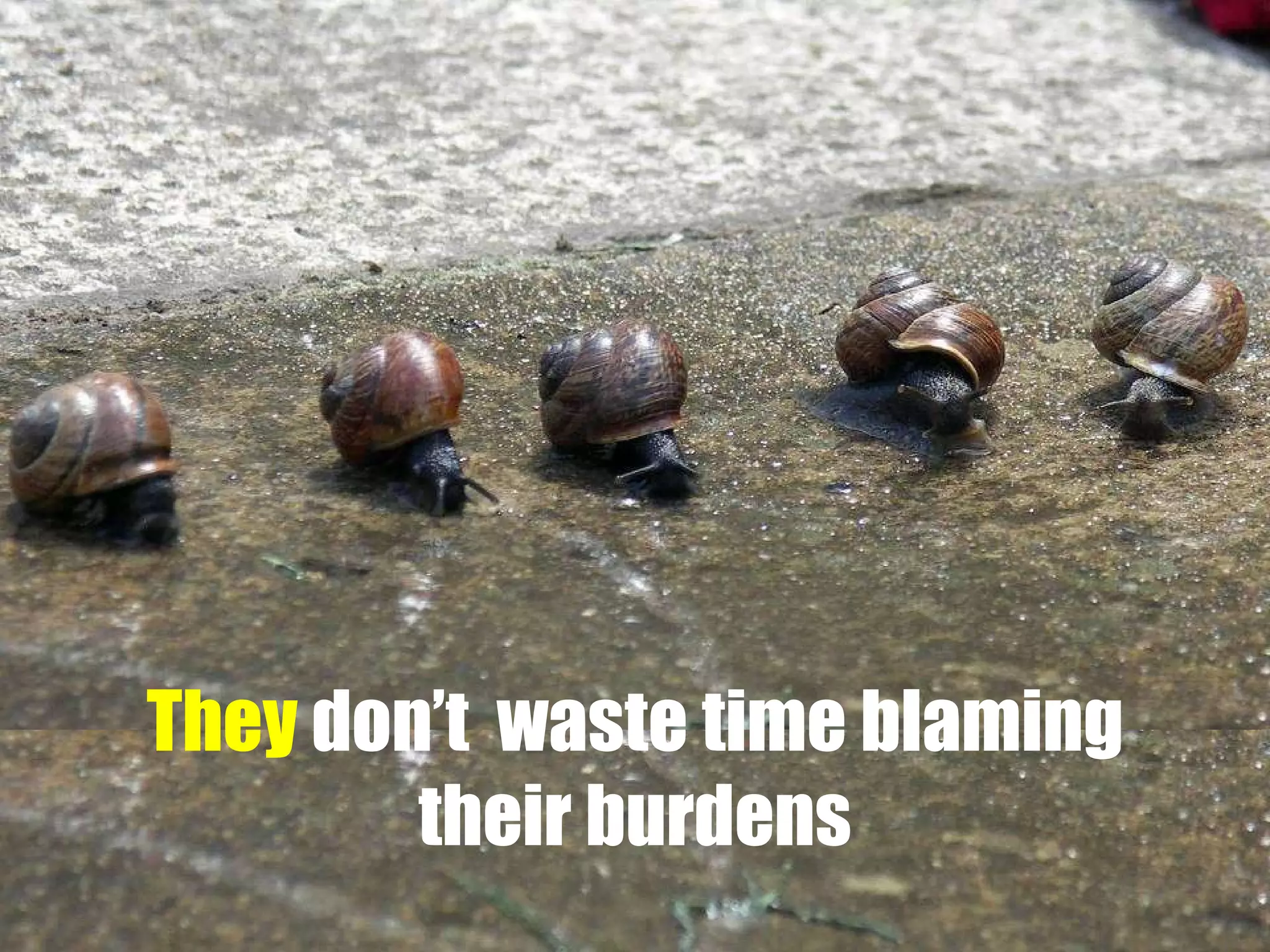 They  don’t  waste time blaming their burdens 
