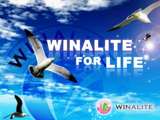 WINALITE LIFE FOR 