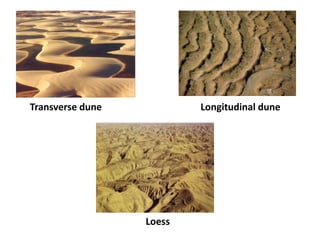 Wind may pick up, transport, and deposit.Works of windWind works in two ways to erode the materials. They are a. By deflation and 2. by abrationBlow outBy deflation - By Abration - Ventifactsபுடைத்தெடுத்தல் - ஊதுபள்ளங்கள்உராய்ந்துதேய்த்தல்-பட்டைக்கற்கள்