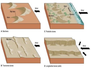 For, wind to be effective ,dryness and scandyvegeation are prerequisites.