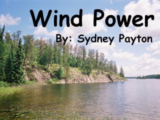 Wind   Power By: Sydney Payton 