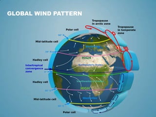 GLOBAL WIND PATTERN
 