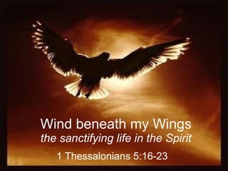 Wind beneath my Wings the sanctifying life in the Spirit 1 Thessalonians 5:16-23 