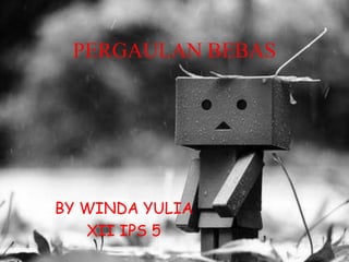 PERGAULAN BEBAS
BY WINDA YULIA
XII IPS 5
 