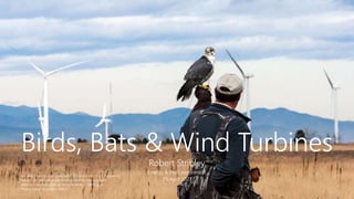 Energy & the Environment
26 April 2021
Birds, Bats & Wind Turbines
Robert Stribley
A trained falcon, equipped with GPS and a very high frequency
tracker, gathers data that helps scientists improve bird
detection technologies at wind facilities. – NREL.gov
Photo: Jason Roadman, NREL
 