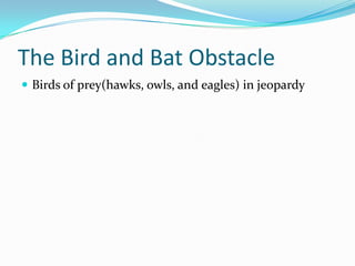 The Bird and Bat ObstacleBirds of prey(hawks, owls, and eagles) in jeopardy