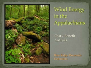 Wind Energyin the Appalachians Cost / Benefit Analysis Blue Ridge Mountain Defenders 