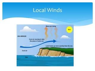 Local Winds
 