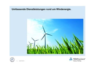 Umfassende Dienstleistungen rund um Windenergie.




   1 |   23/07/2010
 