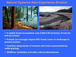 Natural Systems Also Experience Erosion




 In stable forest ecosystems only 0.004-0.05 tons/ha/y of soil are
lost by erosion
 Forests (on average) require 60% forest cover on landscape to
prevent erosion
 Common along banks of streams and rivers (exacerbated by
cattle grazing)
 Wildfires, landslides and other natural disturbances
 