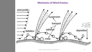 Mechanics of Wind Erosion.
JNKVV- College of Agriculture, Powarkheda 10
 