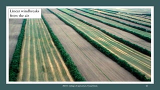 JNKVV- College of Agriculture, Powarkheda 30
 