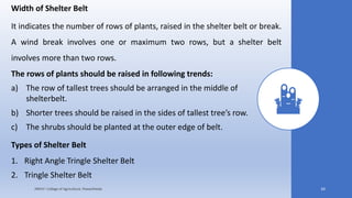 Width of Shelter Belt
It indicates the number of rows of plants, raised in the shelter belt or break.
A wind break involves one or maximum two rows, but a shelter belt
involves more than two rows.
The rows of plants should be raised in following trends:
a) The row of tallest trees should be arranged in the middle of
shelterbelt.
b) Shorter trees should be raised in the sides of tallest tree’s row.
c) The shrubs should be planted at the outer edge of belt.
Types of Shelter Belt
1. Right Angle Tringle Shelter Belt
2. Tringle Shelter Belt
JNKVV- College of Agriculture, Powarkheda 34
 