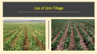 Use of Zero Tillage
 