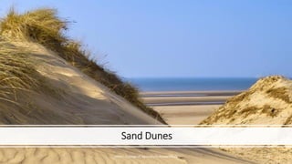 Sand Dunes
JNKVV- College of Agriculture, Powarkheda 49
 