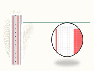 Wind excitation control in skyscraper static and dynamic study | PPTX