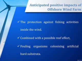 Anticipated positive impacts of
Offshore Wind Farm
 The protection against fishing activities
inside the wind.
 Combined with a possible reef effect,
 Fouling organisms colonising artificial
hard substrata.
 
